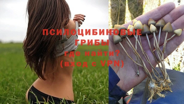 прущий лед Алексин