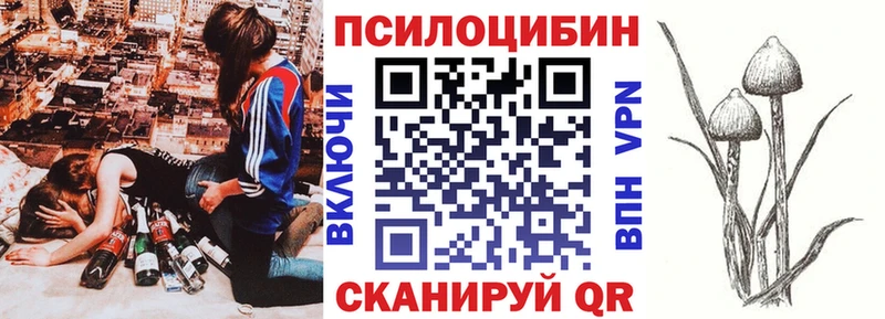 Галлюциногенные грибы мицелий  darknet формула  Венёв  как найти  