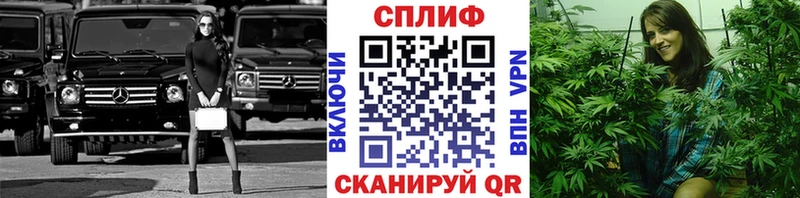 Бошки Шишки конопля Венёв